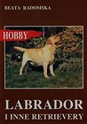 Labrador i inne retrievery