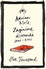 Adrian Mole Zaginione dzienniki 1999-2001