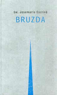 Bruzda