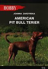 American pit bull terier