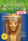 Tropiciele faktów Mumie i piramidy