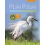Ptaki Polski encyklopedia ilustrowana