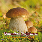 Kalendarz 2017 Grzybiarza KAD-6