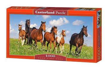 Puzzle 4000 Stado koni CASTOR