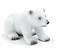 Młody niedźwiedź polarny siedzący ANIMAL PLANET