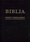 Biblia w zarysie. Nowy Testament płótno