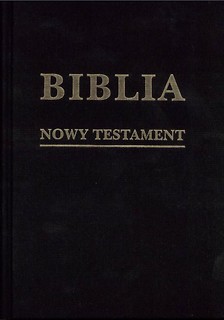 Biblia w zarysie. Nowy Testament płótno