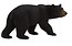 Niedźwiedź czarny (baribal) ANIMAL PLANET