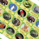 Memory Game - Animals (folia) REGIPIO