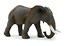 Słoń afrykański ANIMAL PLANET