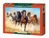 Puzzle 1000 Thunder and Dust  CASTOR