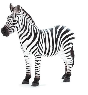 Zebra ANIMAL PLANET