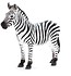 Zebra ANIMAL PLANET