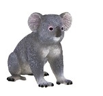Koala ANIMAL PLANET