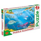Puzzle 35 - MAXI Ocean ALEX