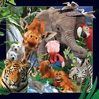 Pocztówka 3D Dzikie Zwierzęta