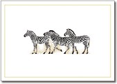 Karnety mini Zebra (14szt)