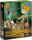 Wyprawa Paleontologiczna - Brachiosaurus