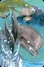 Mini kartka 3D Delfin