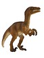 Welociraptor ANIMAL PLANET