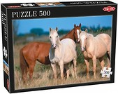 Puzzle 500 Three horses