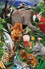 Mini kartka 3D Dzikie zwierzęta