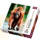 Puzzle 1000 Nature... - Orangutan TREFL