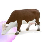 Krowa rasy Hareford ANIMAL PLANET