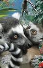 Mini kartka 3D Lemur