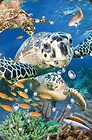 Mini kartka 3D Żółw Morski