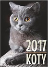Kalendarz 2017 Ścienny - Koty AWM