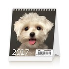 Kalendarz 2017 Mini Puppies HELMA
