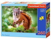Puzzle 260 Pine Squirrel CASTOR