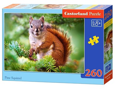 Puzzle 260 Pine Squirrel CASTOR