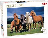 Puzzle 1000 Camargue horses