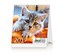 Kalendarz 2017 Mini Kittens HELMA