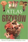 Atlas grzybów BR