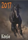Kalendarz 2017 Ścienny - Konie AWM