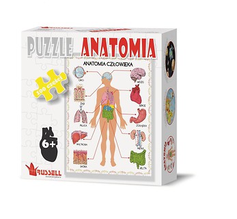 Puzzle 100 - Anatomia RUSSEL