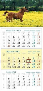 Kalendarz 2017 Trójdzielny. Źrebak