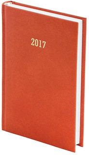 Kalendarz 2017 A5 Dzienny Albit Pomarańczowy