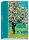 Terminarz 2017 B6 kolor - drzewo