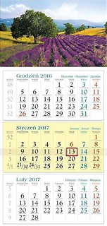 Kalendarz 2017 Trójdzielny. Drzewo