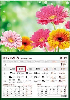 Kalendarz 2017 Ścienny Jednodzielny Kwiaty