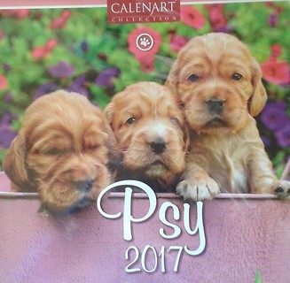 Kalendarz 2017 7PL 325x325 Psy CRUX