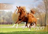 Kalendarz 2017 Konie HELMA