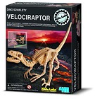 Wykopaliska - Velociraptor