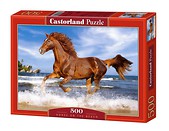 Puzzle 500 Koń na plaży CASTOR