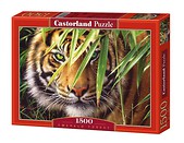 Puzzle 1500 Tygrys w lesie  CASTOR