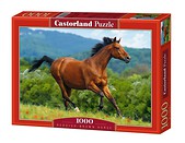 Puzzle 1000 Brązowy koń CASTOR